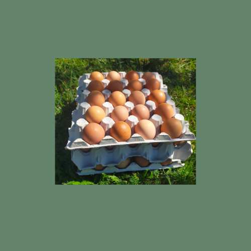 SALE -  60 Little Eggs - Size 4/5